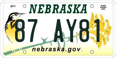 NE license plate 87AY81