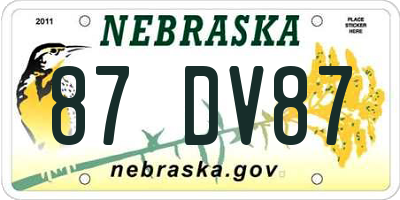 NE license plate 87DV87