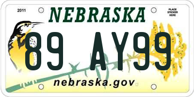 NE license plate 89AY99