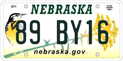 NE license plate 89BY16
