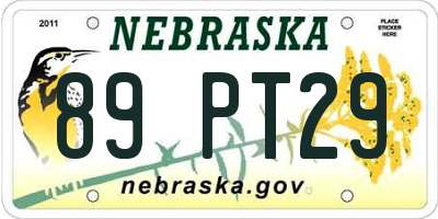 NE license plate 89PT29