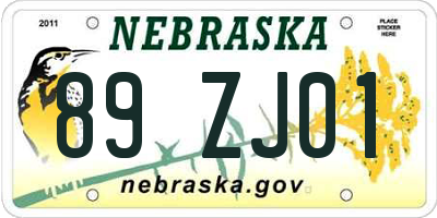 NE license plate 89ZJ01