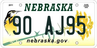 NE license plate 90AJ95