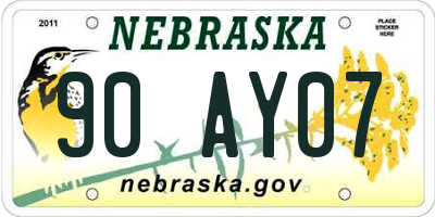 NE license plate 90AY07