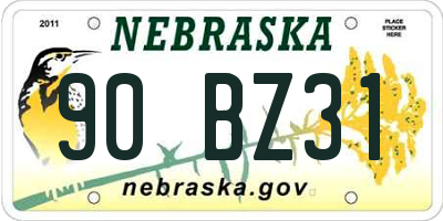 NE license plate 90BZ31