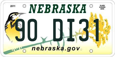 NE license plate 90DI31