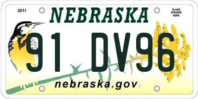 NE license plate 91DV96
