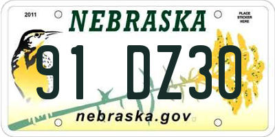 NE license plate 91DZ30