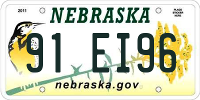 NE license plate 91EI96