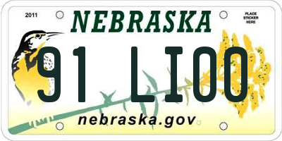NE license plate 91LI00