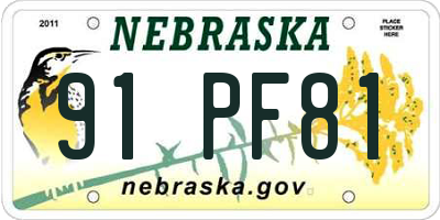 NE license plate 91PF81