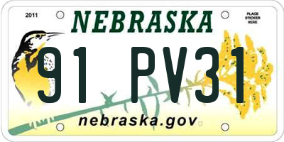 NE license plate 91PV31