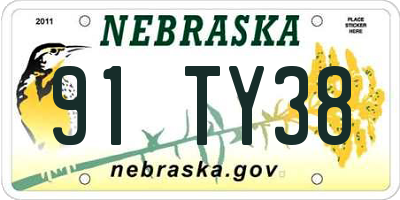 NE license plate 91TY38