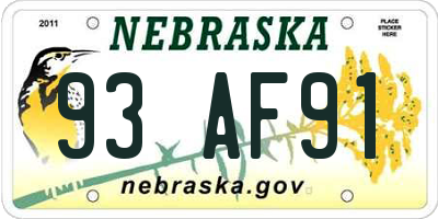 NE license plate 93AF91