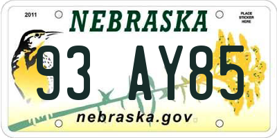 NE license plate 93AY85