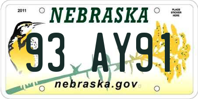NE license plate 93AY91