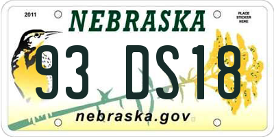 NE license plate 93DS18