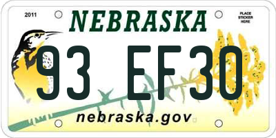 NE license plate 93EF30