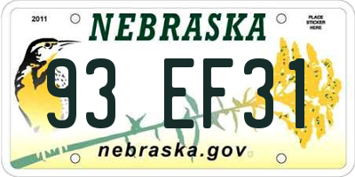NE license plate 93EF31