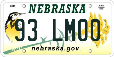 NE license plate 93LM00