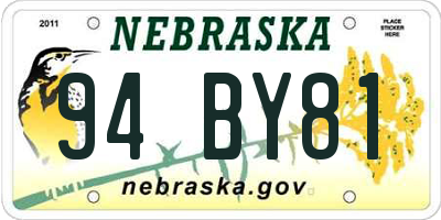 NE license plate 94BY81