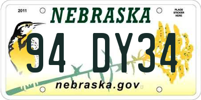 NE license plate 94DY34