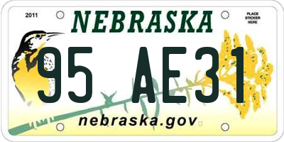 NE license plate 95AE31