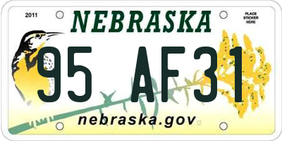 NE license plate 95AF31
