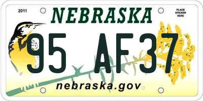 NE license plate 95AF37