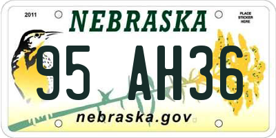 NE license plate 95AH36