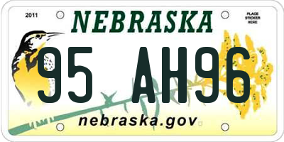 NE license plate 95AH96