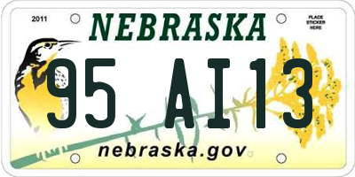 NE license plate 95AI13