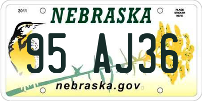NE license plate 95AJ36
