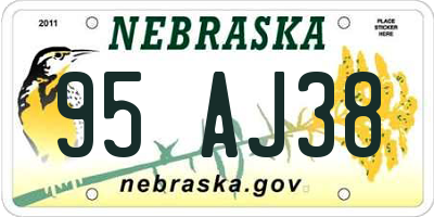 NE license plate 95AJ38