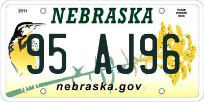 NE license plate 95AJ96