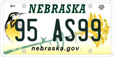 NE license plate 95AS99