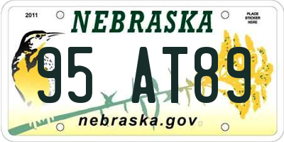 NE license plate 95AT89