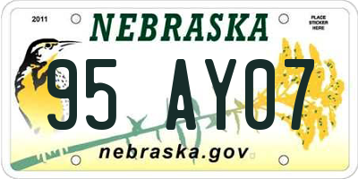 NE license plate 95AY07