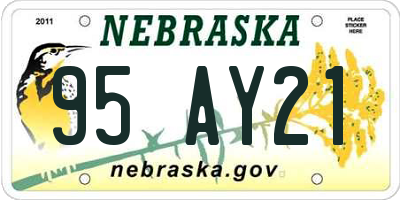 NE license plate 95AY21