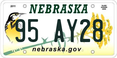 NE license plate 95AY28