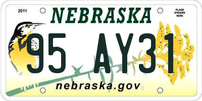 NE license plate 95AY31