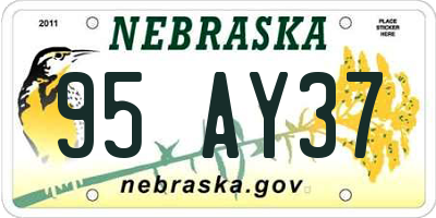 NE license plate 95AY37
