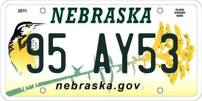 NE license plate 95AY53