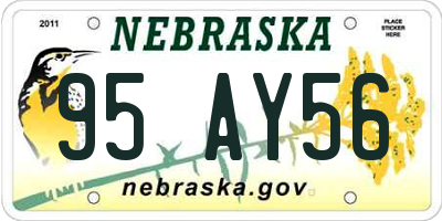 NE license plate 95AY56