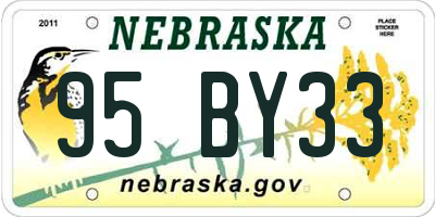 NE license plate 95BY33