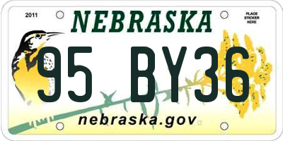 NE license plate 95BY36