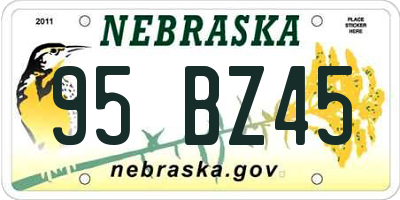 NE license plate 95BZ45