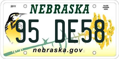 NE license plate 95DE58