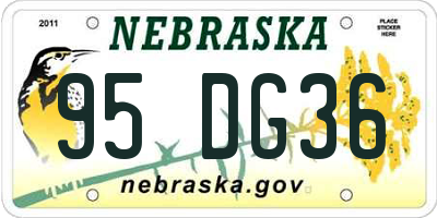 NE license plate 95DG36