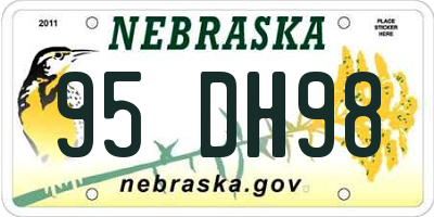 NE license plate 95DH98
